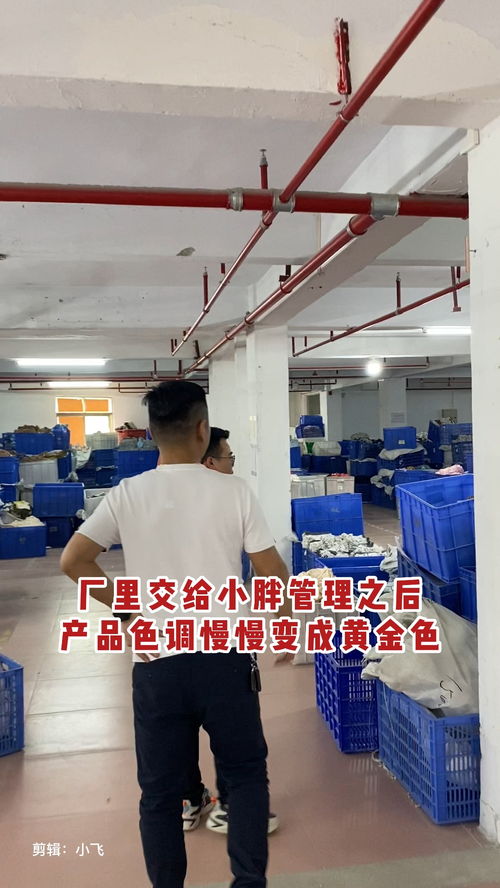 黄金色的厂子 小胖的管理哲学