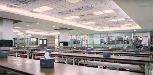 素食浪潮中的酒店管理新思维 以素食文化赋能职场与商业